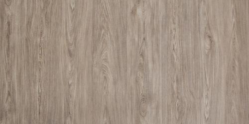 Ель карпатская MD4 прямо