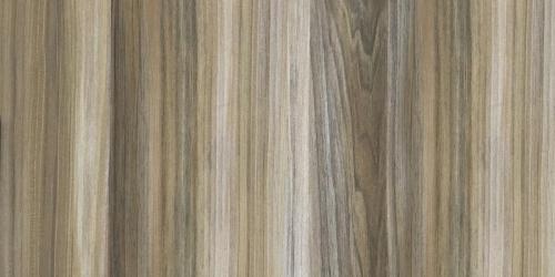 Золотой клен  SWGM0131 прямо